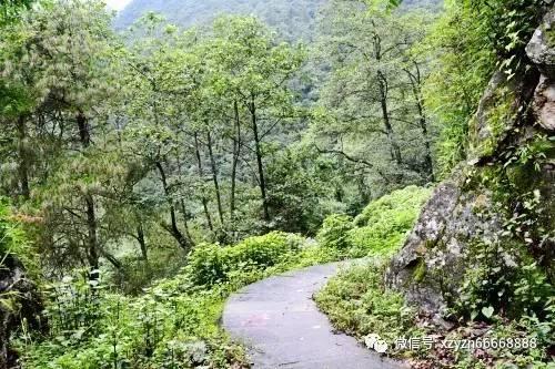 四川电信开启乡村振兴消费帮扶新模式